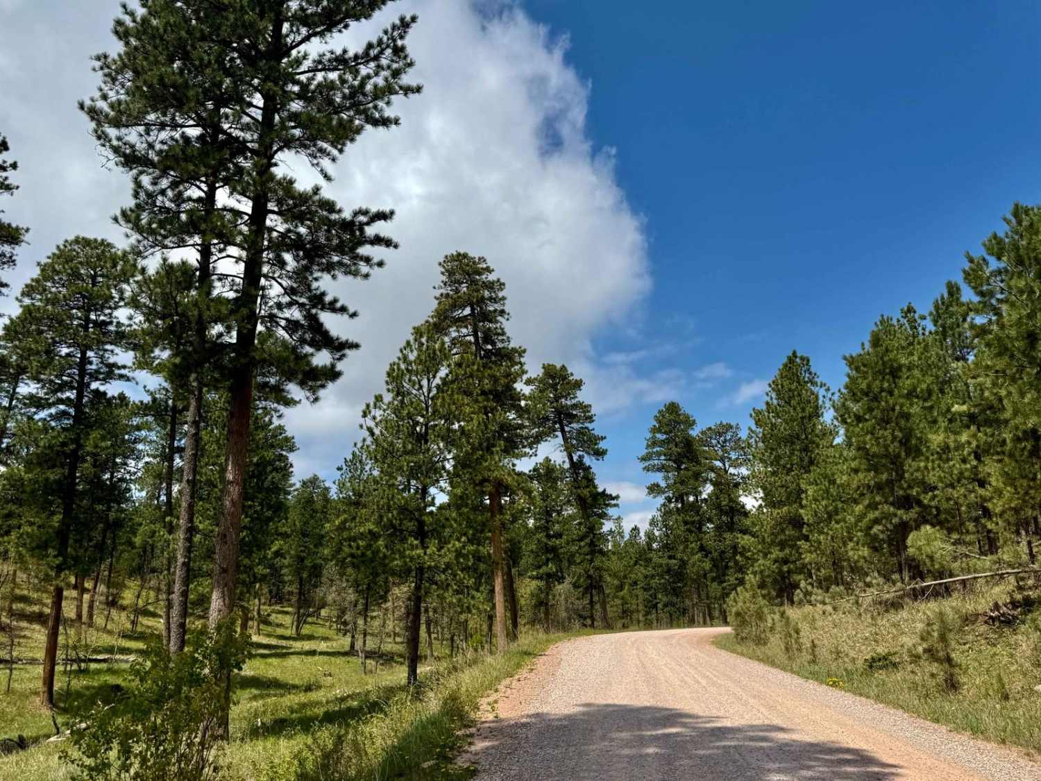 Calumet Road