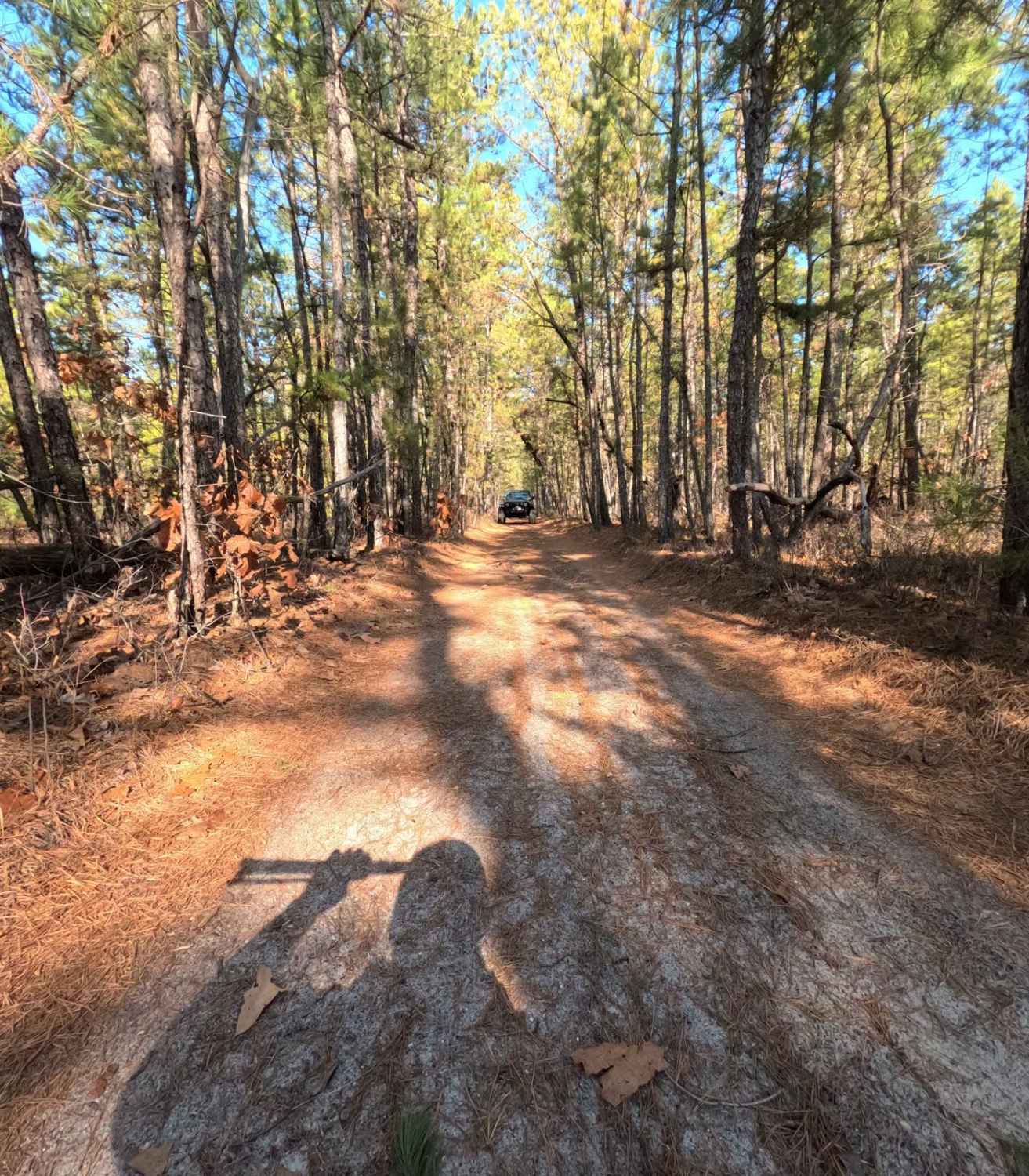 Hay Road