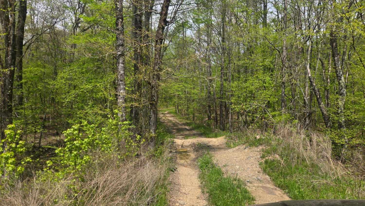 Golf Course Trail