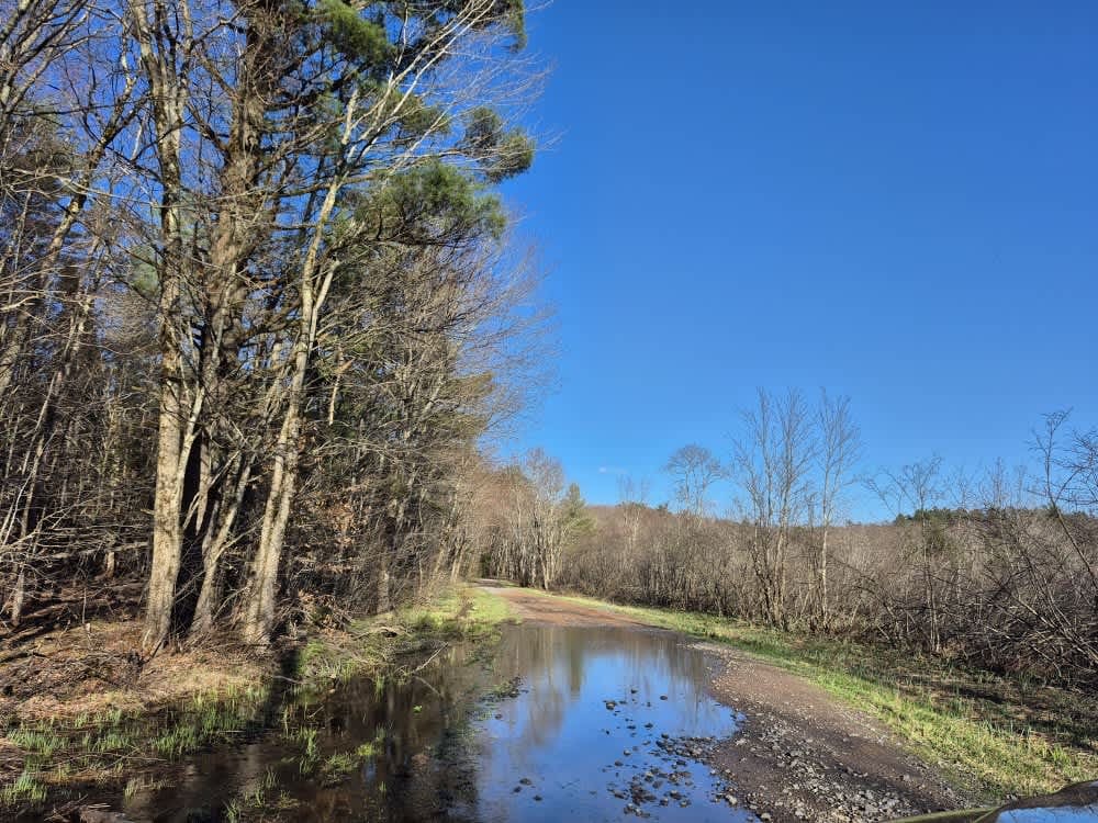 Houlahan Road