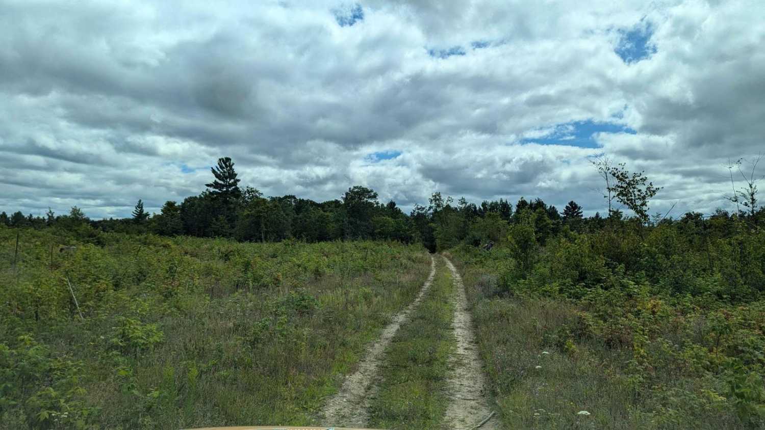 Brown Trail