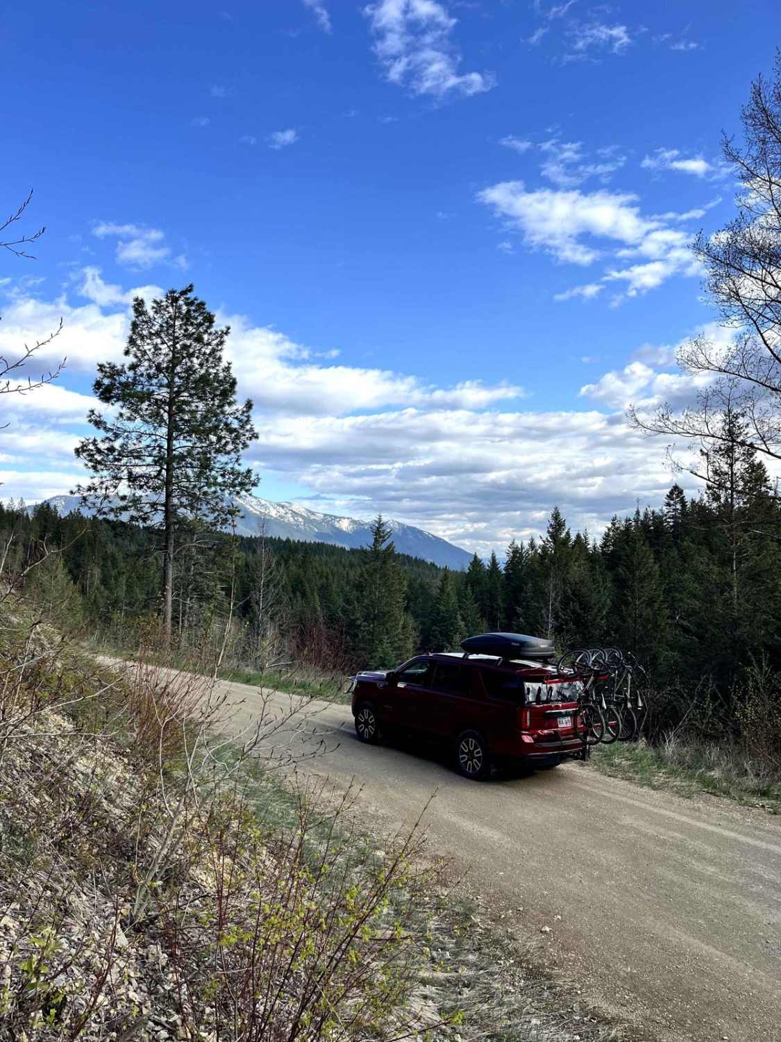 Cedar Ridge NF-1690