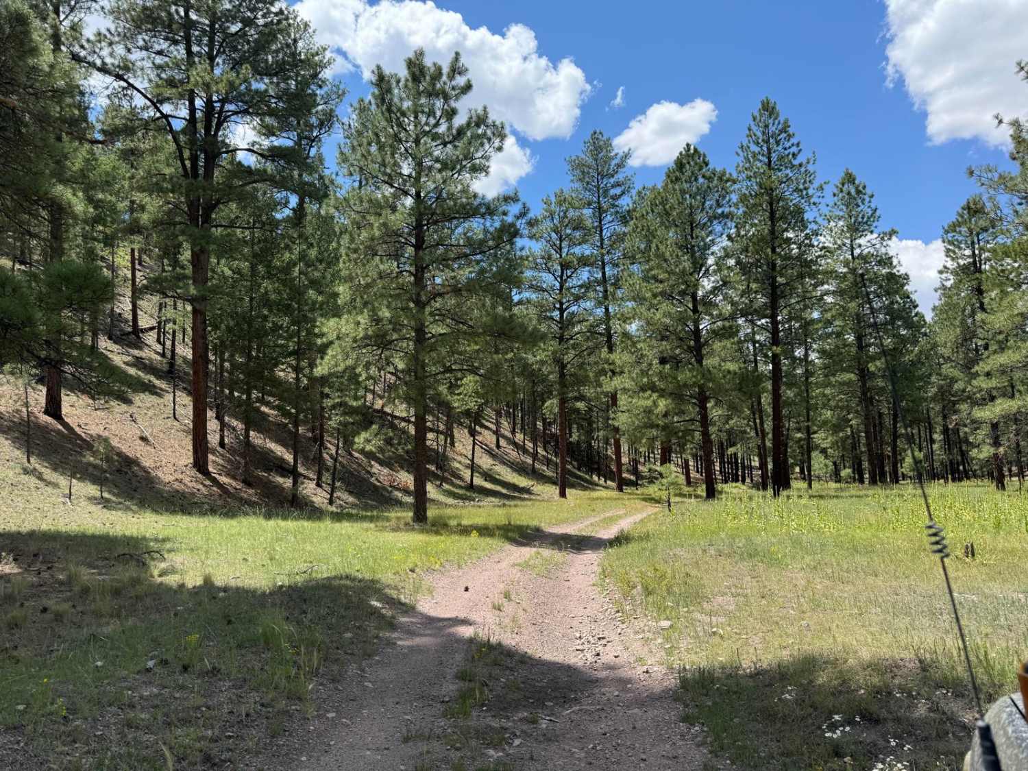 Scales Canyon