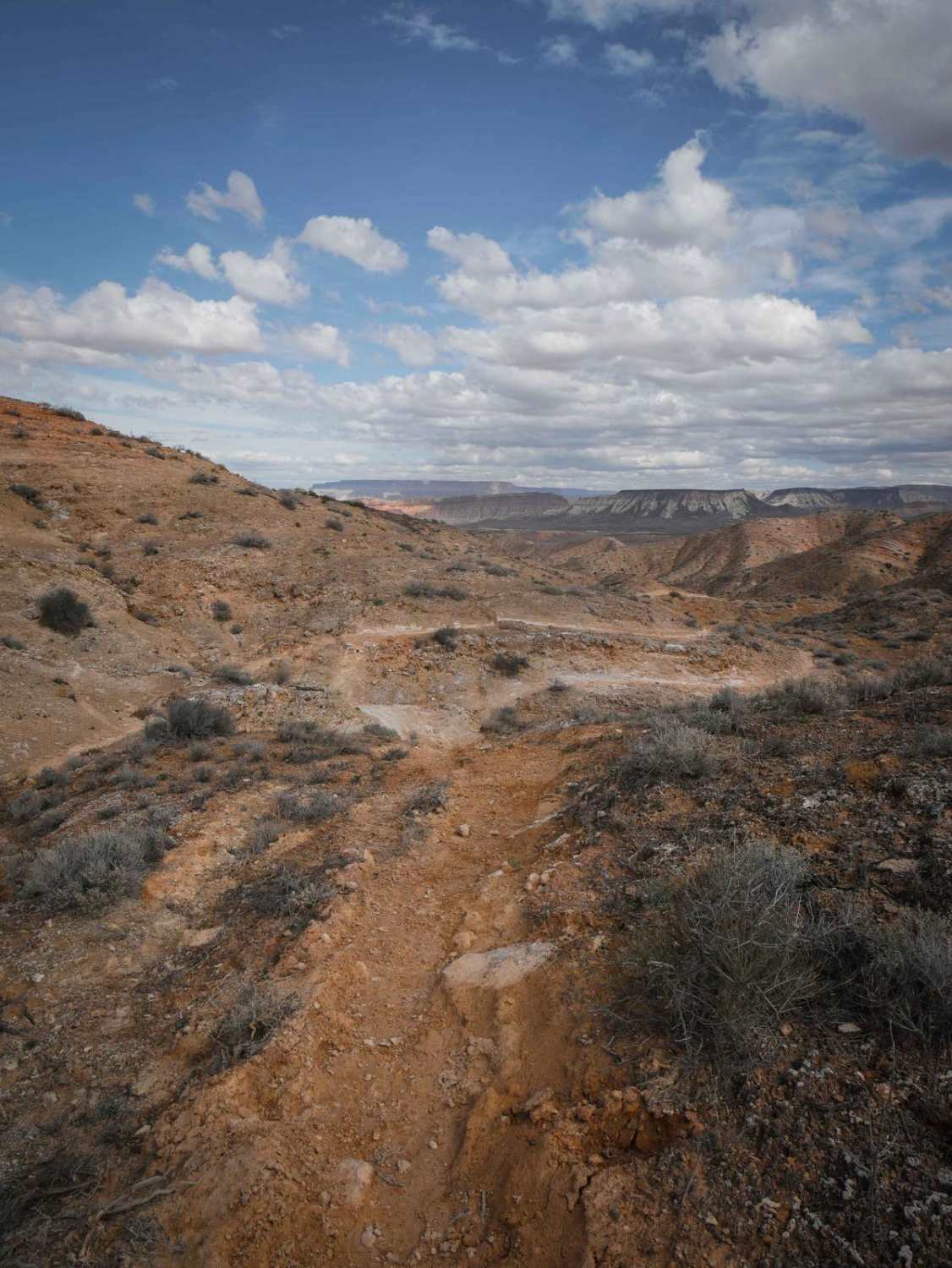 Dutchman to Powerline Single Track 