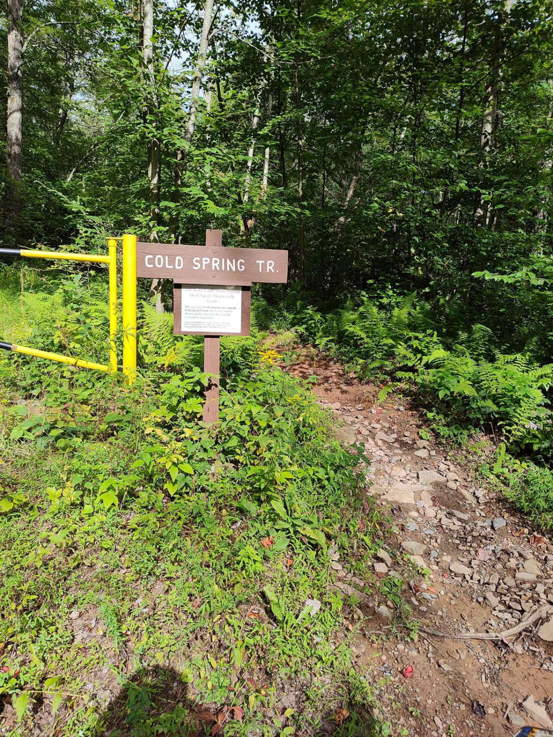 Cold Spring Trail - Single Track