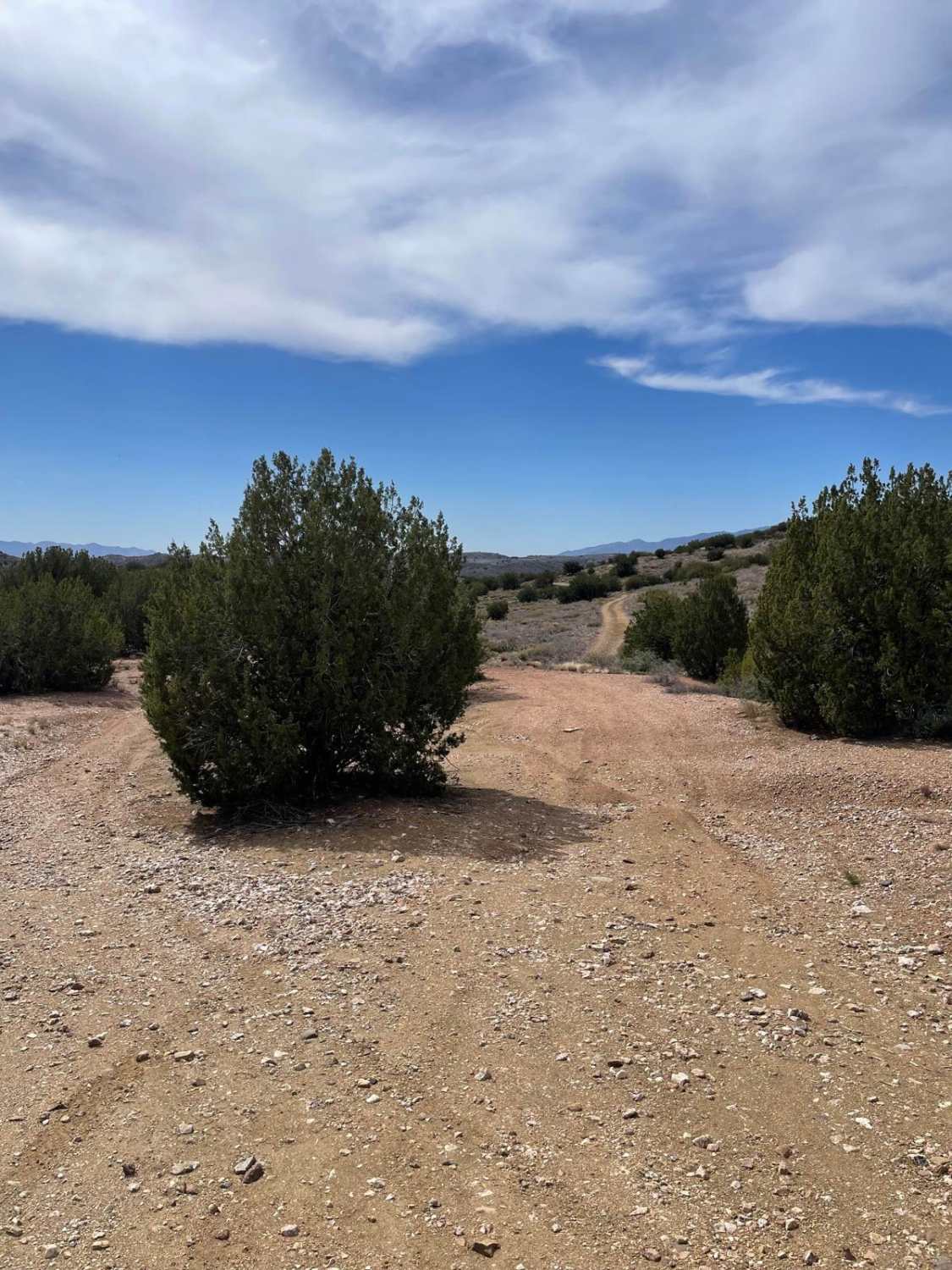 Mine Shaft Boulevard