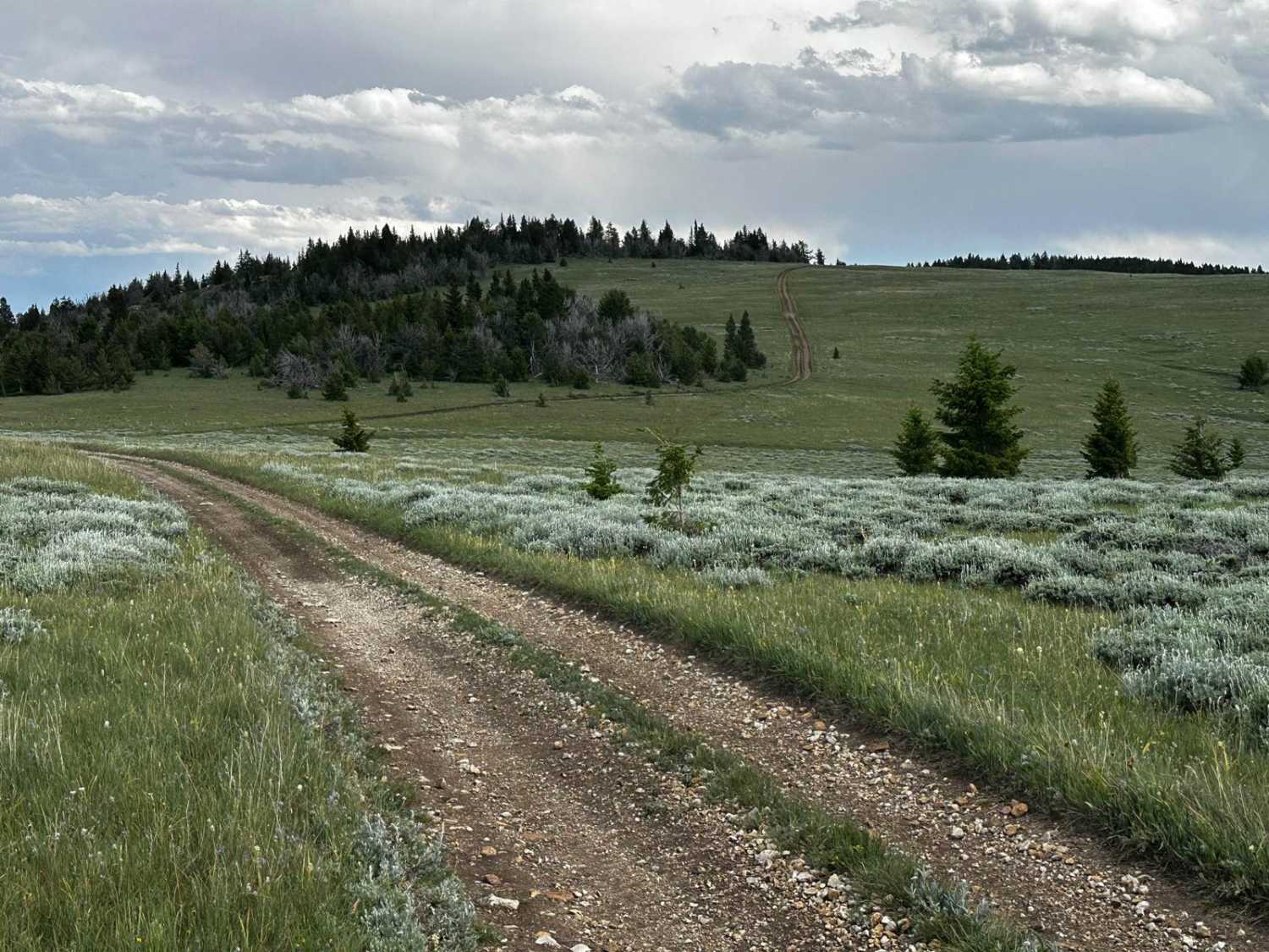 Monument Hill Access spur - FS 401.2A