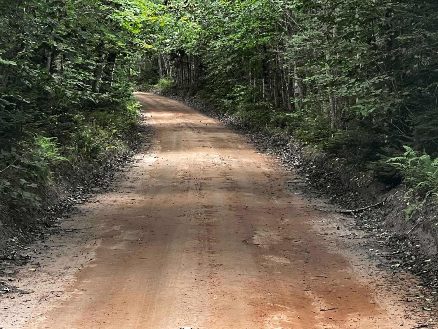 PEI Two Mile Run