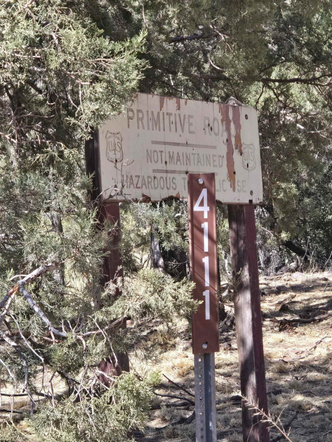 Hog Canyon- BLM 4111