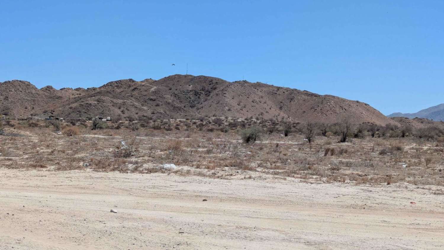 Colinas Eijdo Plan Nacional Agario