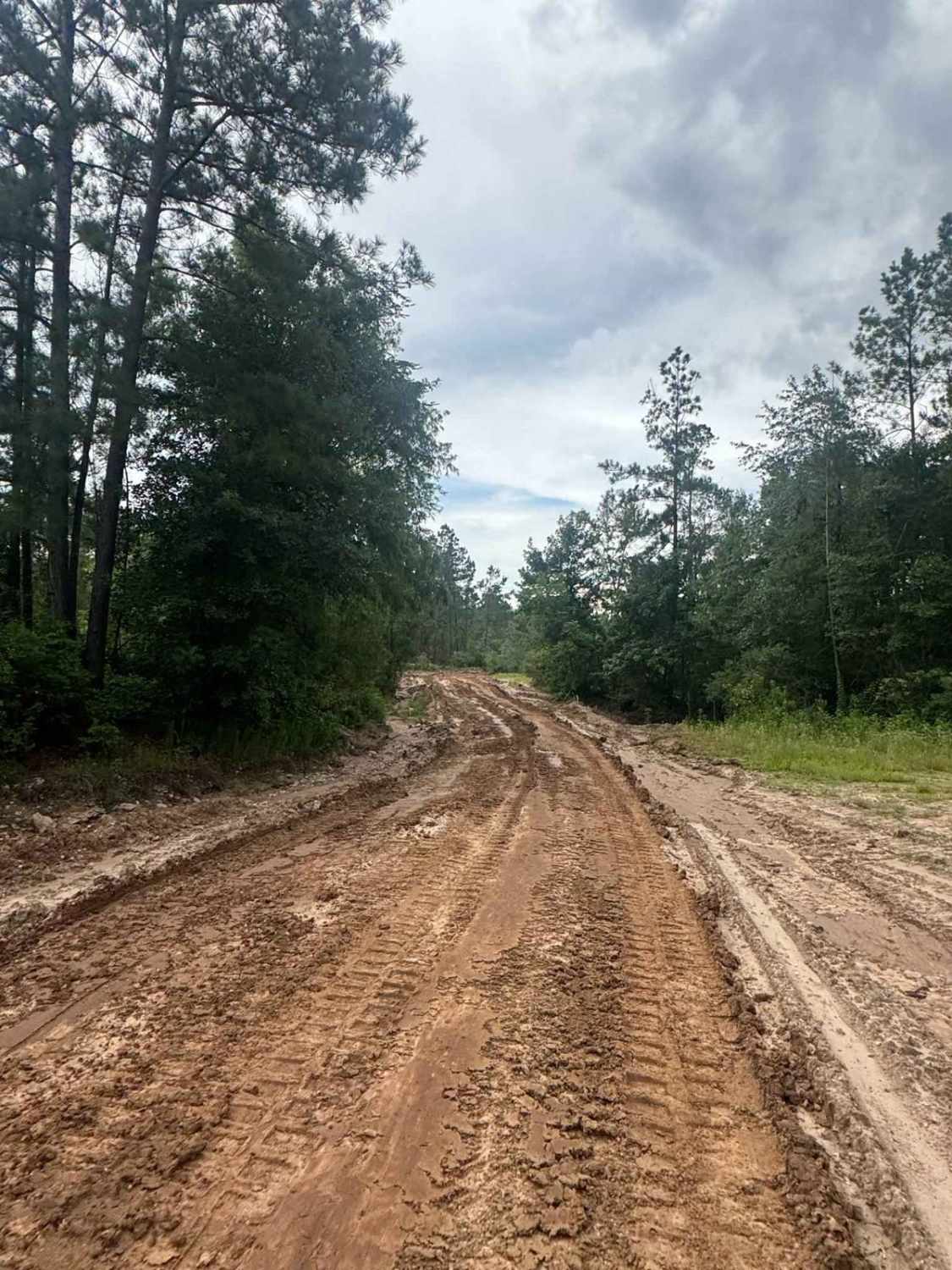 Generals Way - Main Camp Road 100