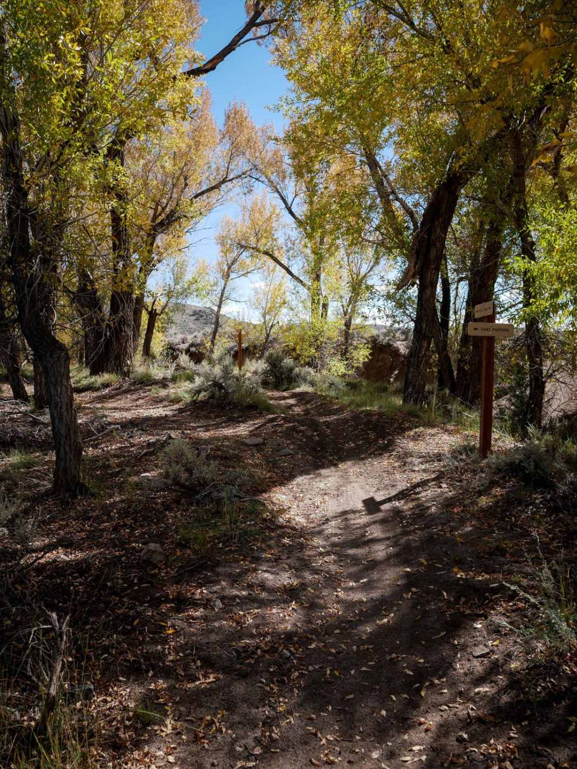 Sandy Wash 