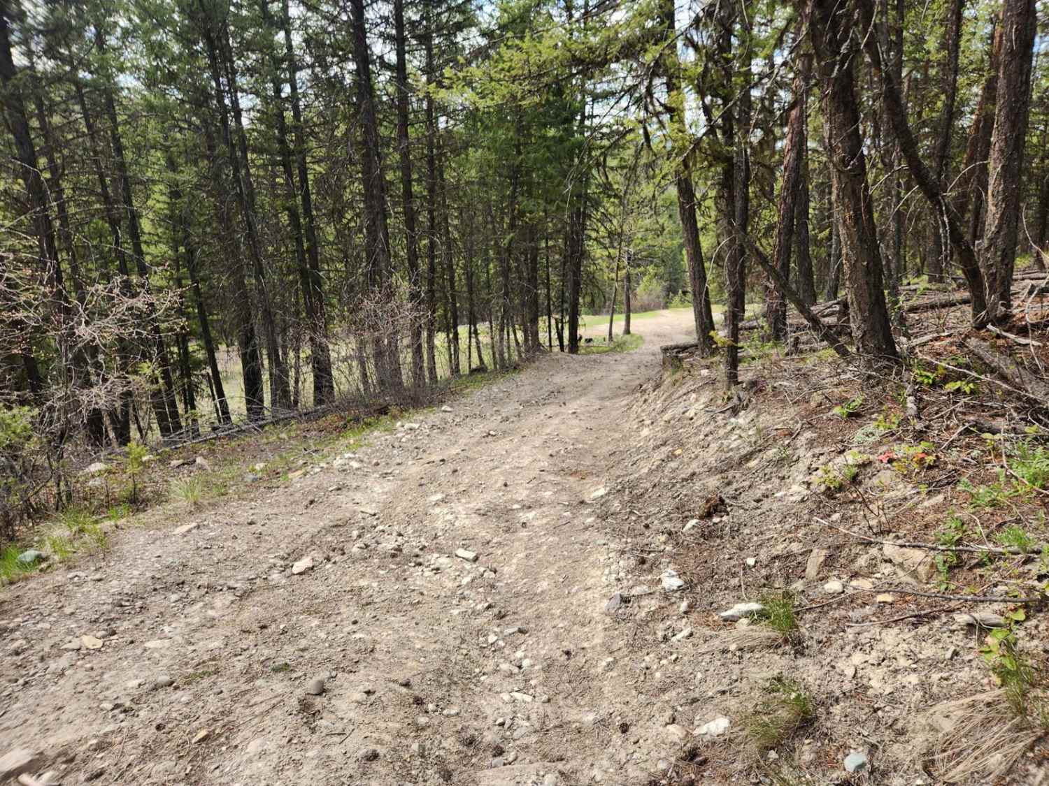 Pinkham Falls Route