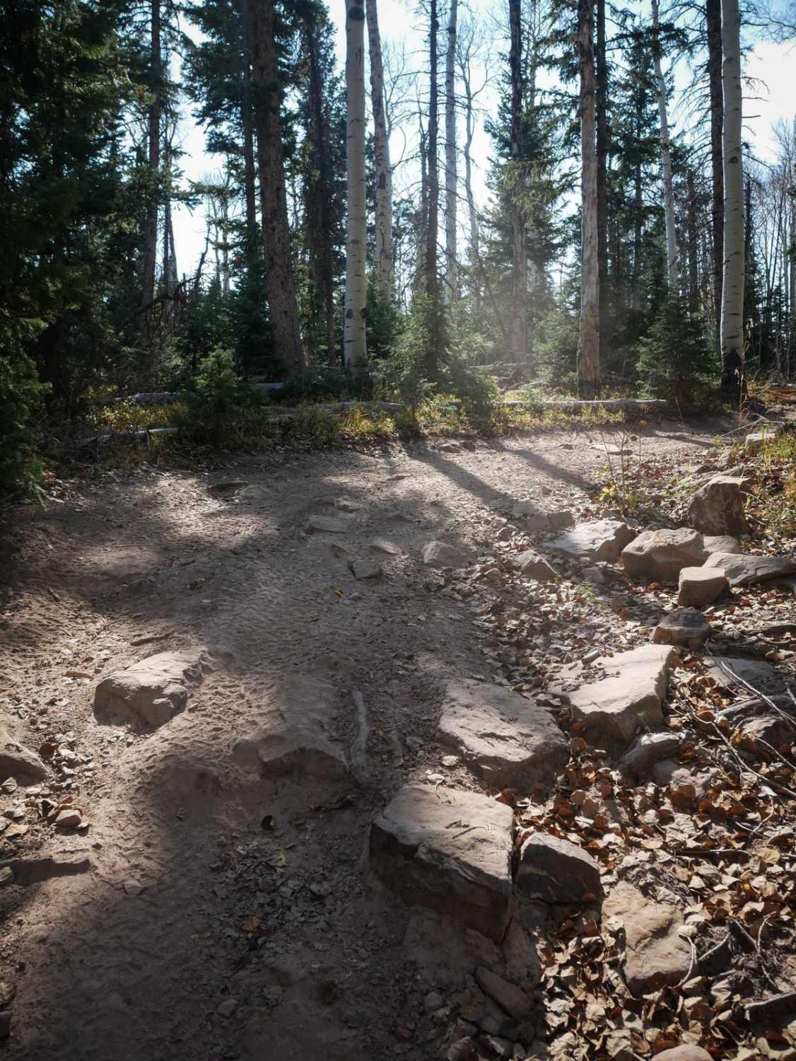 Rim ATV Trail 