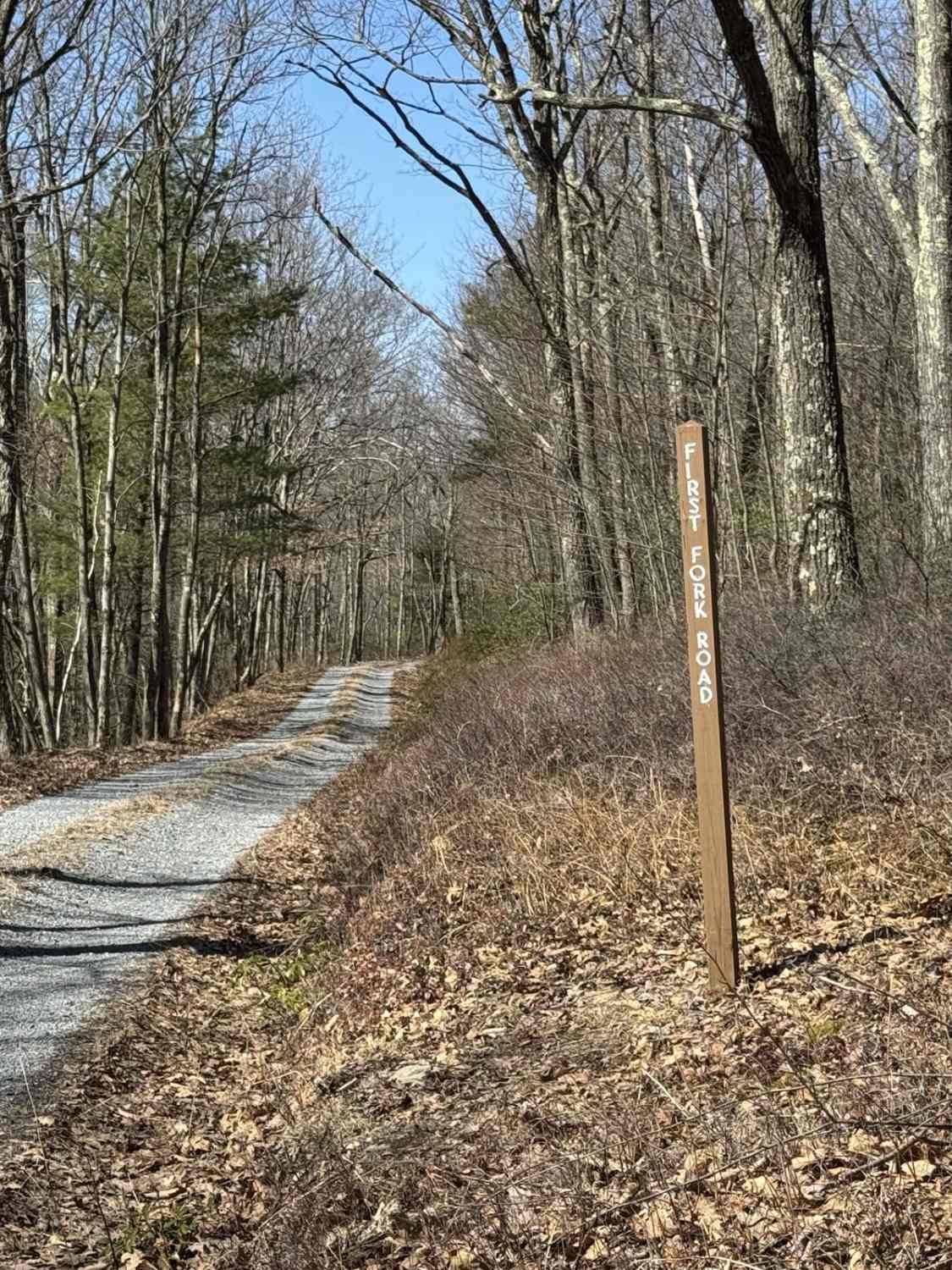 First Fork Road