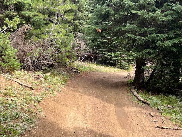Wells Meadow Trail - 4W328