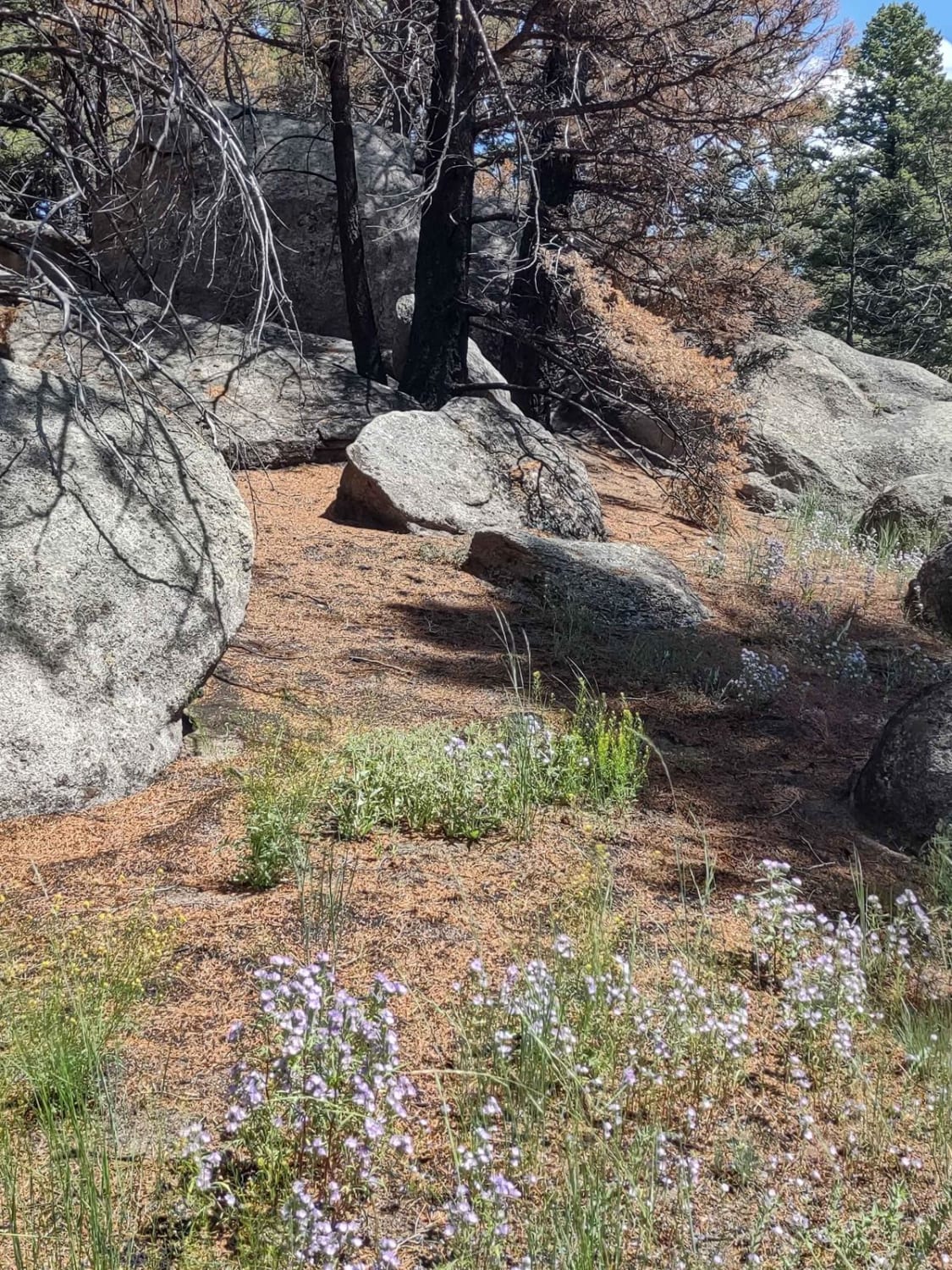 Boulder Alley Spur