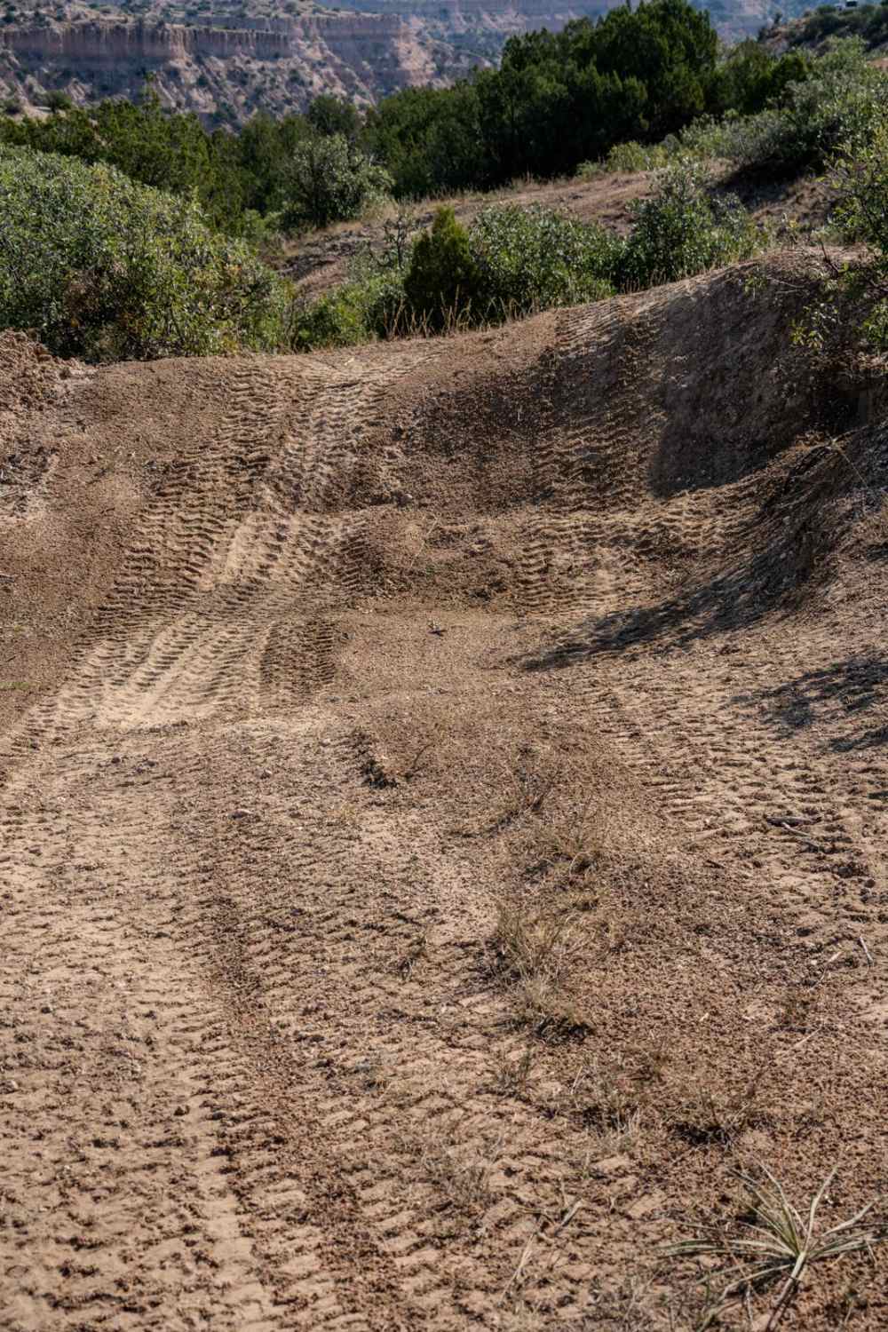 Test Track (Black Lane)