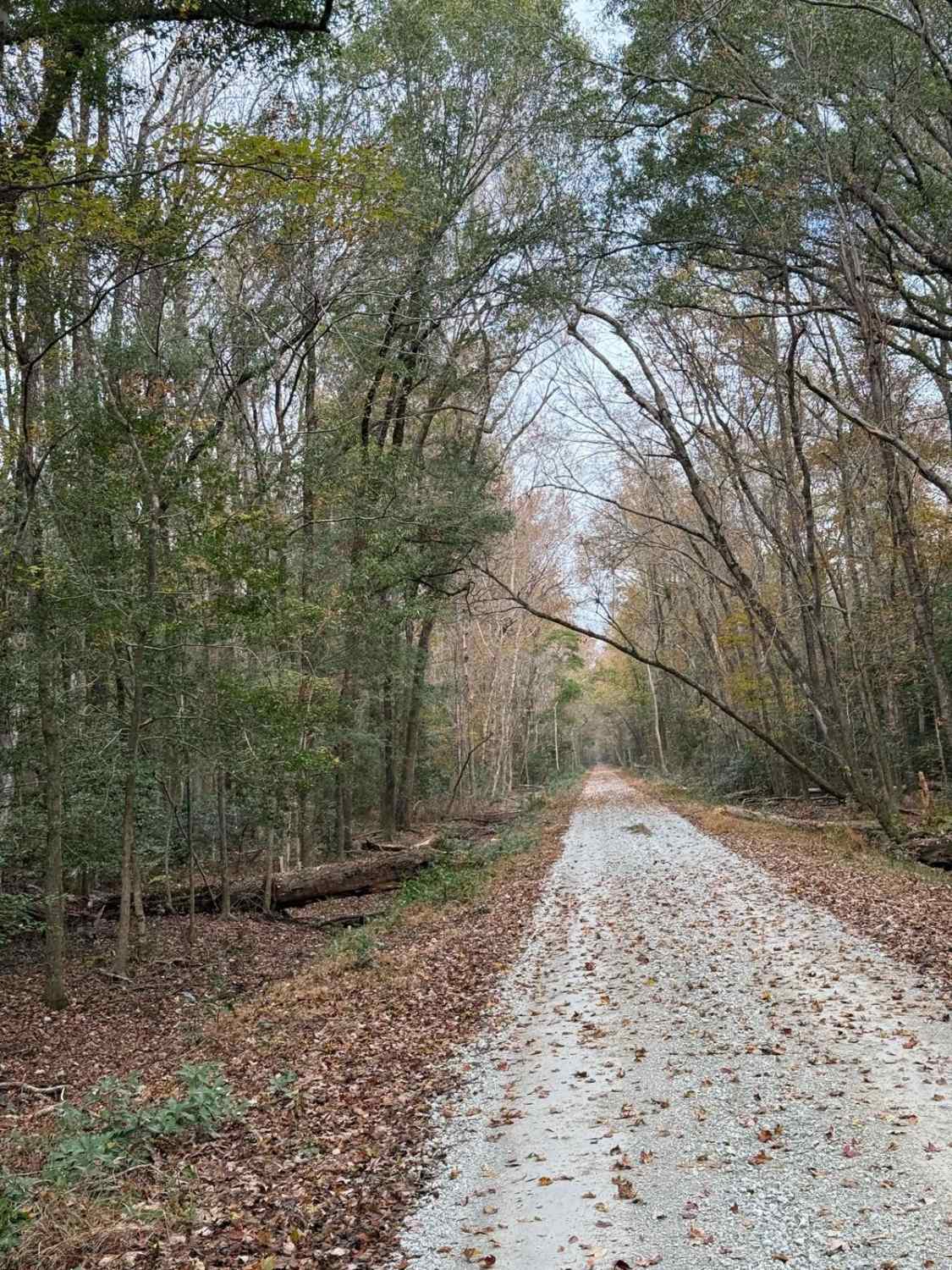 Tootle Road 