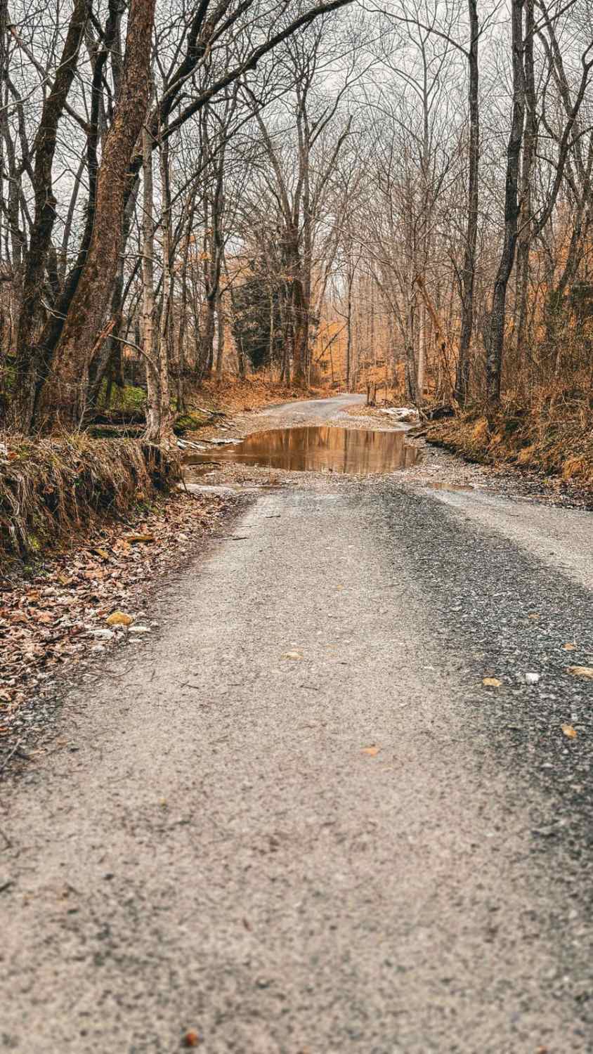 Tooley Branch Road
