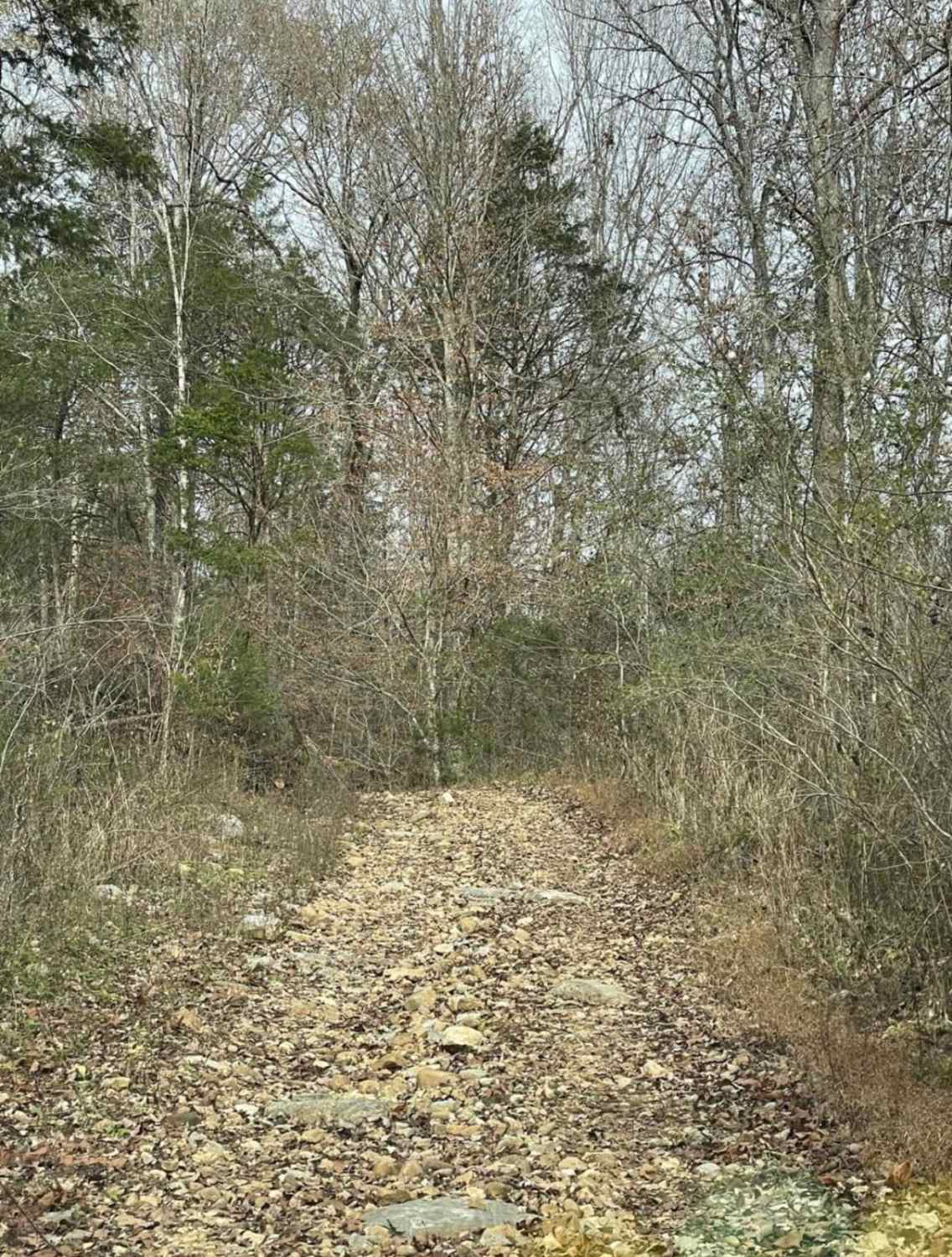 Upper Ridge Trail