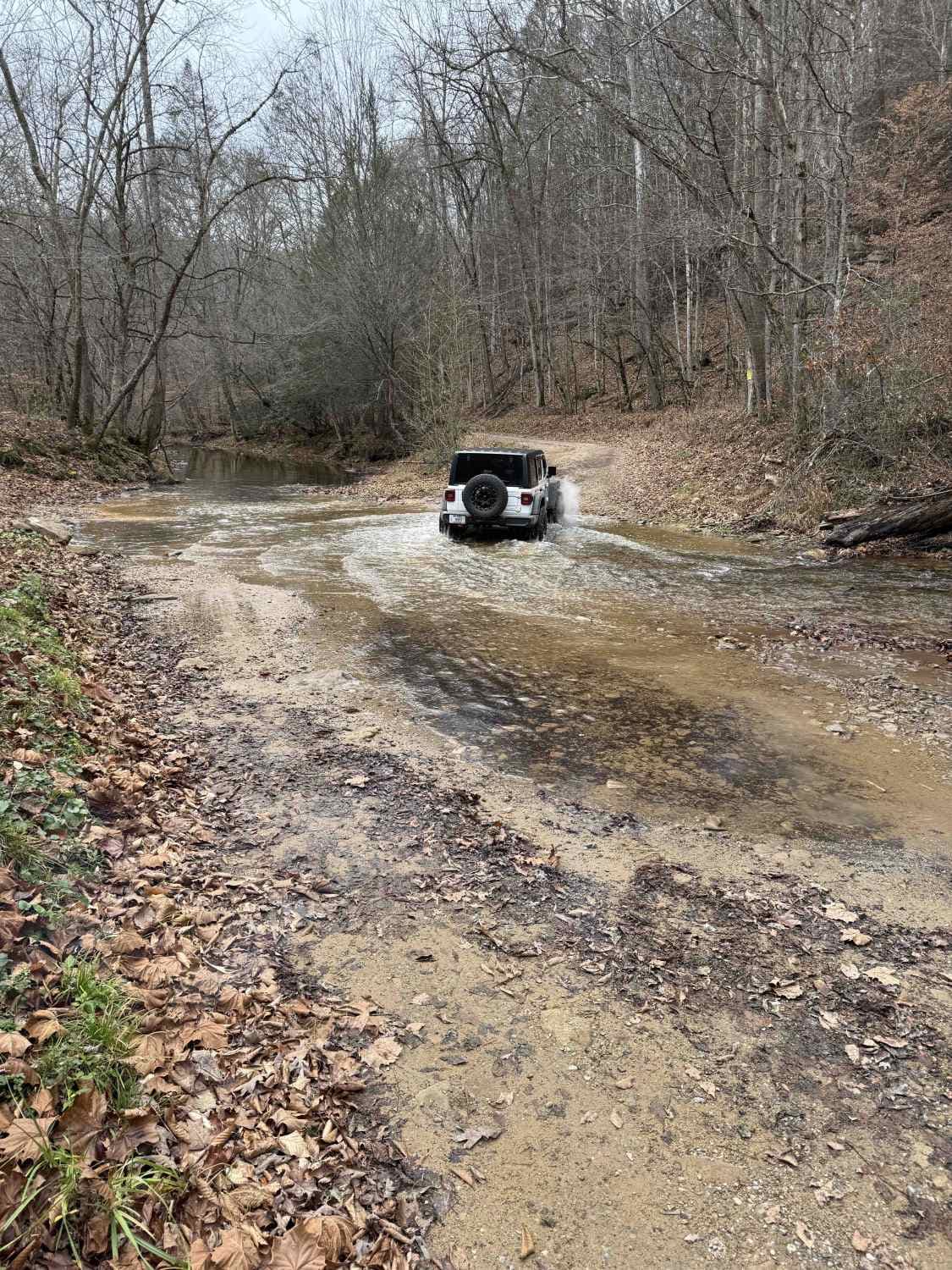 Spruce Run Road