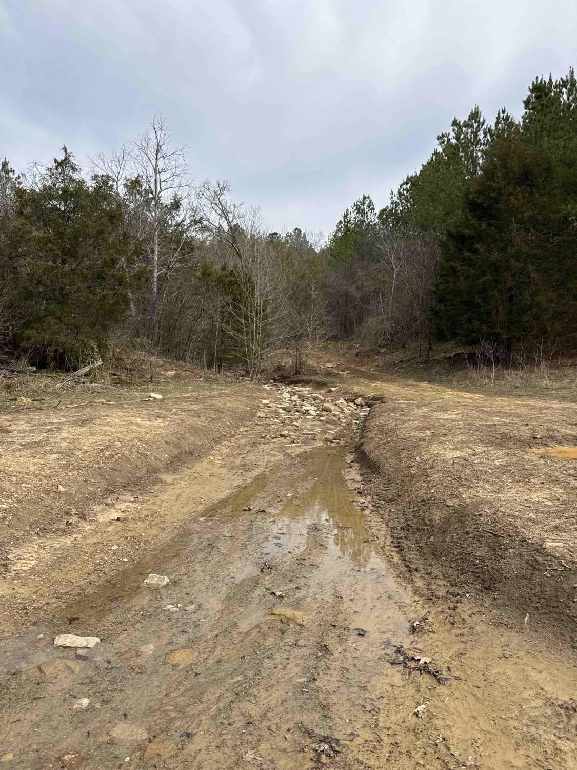 #7 Diamondback - Beginning Section