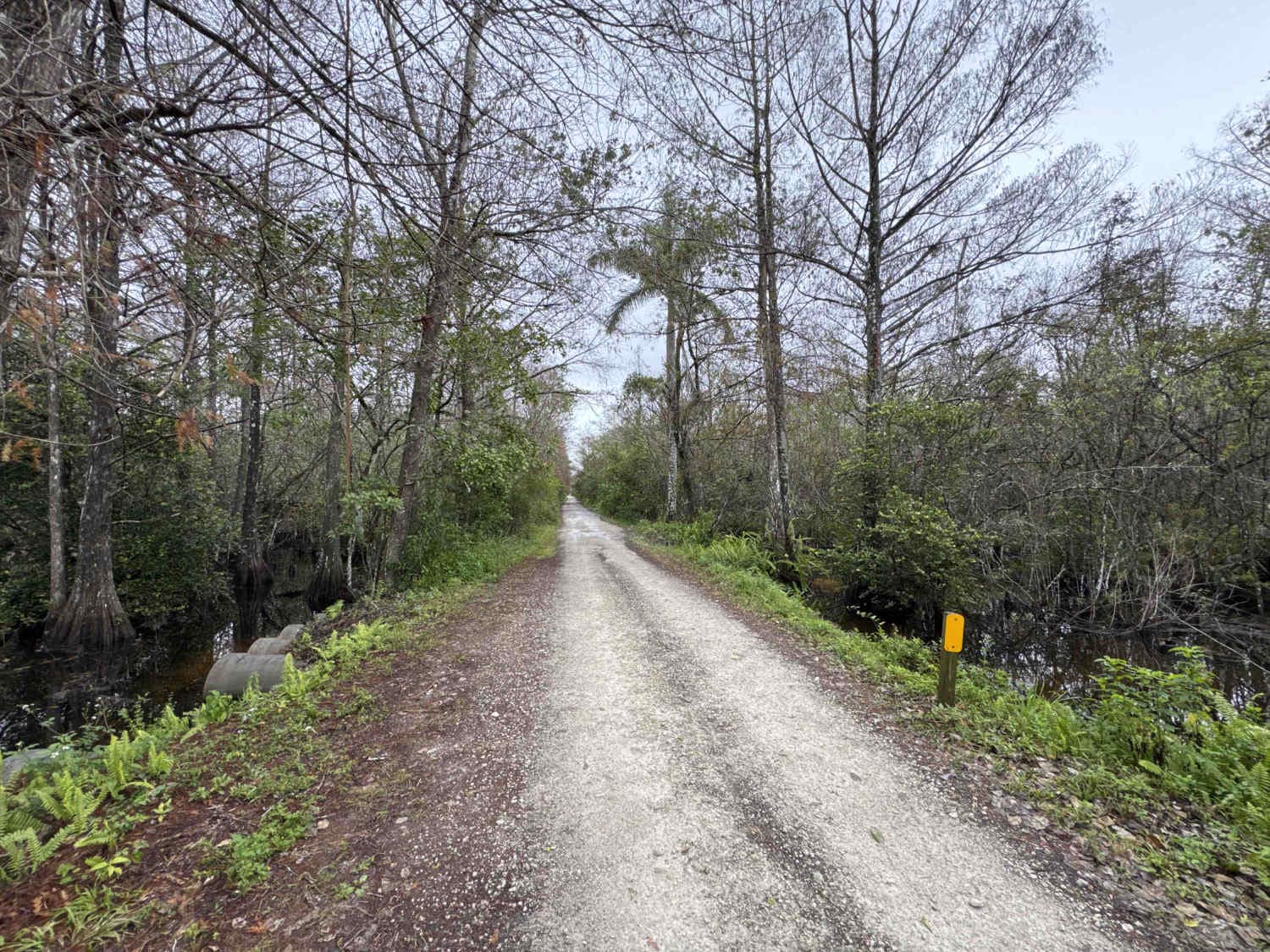 Janes Memorial Scenic Drive