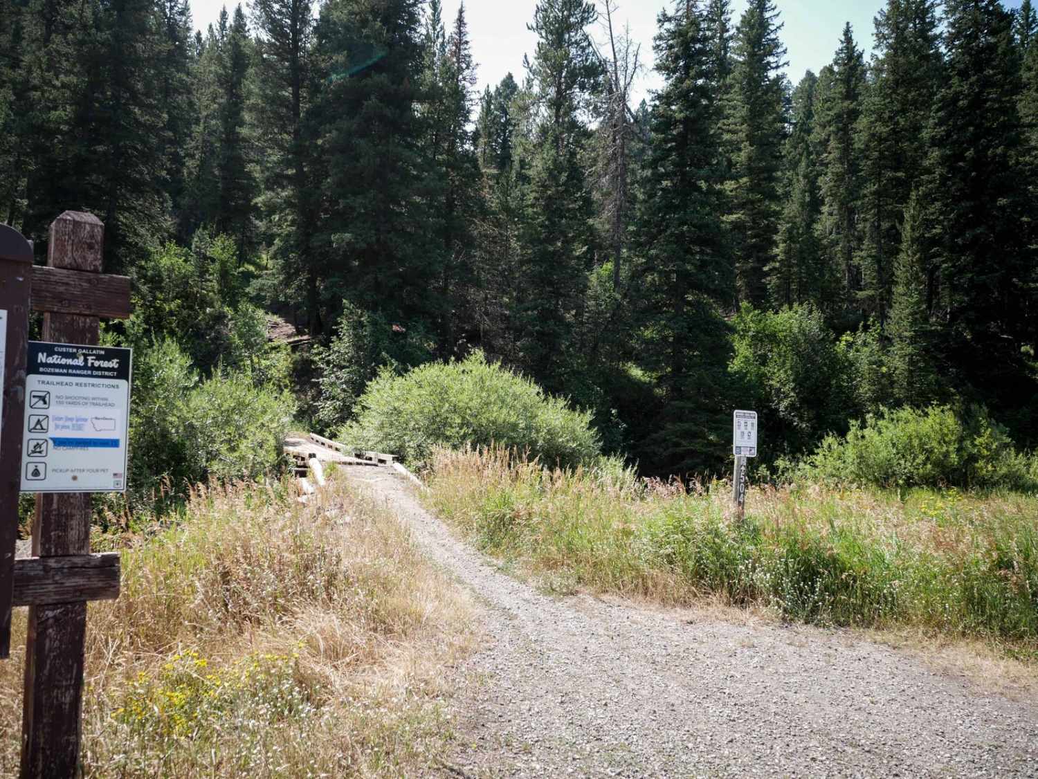 Bangtail Divide Trail #504