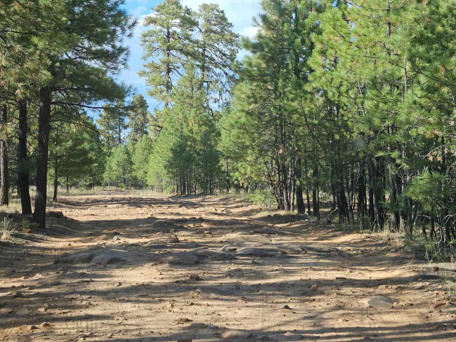 Forest Lakes to Sheep Creek Point