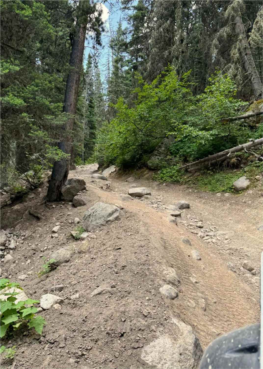 Falling Down The Mountain