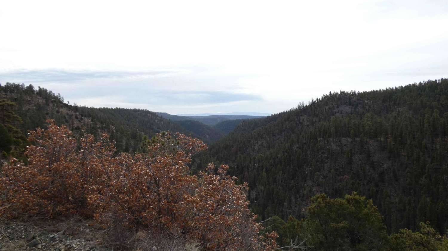 Vallecitos Pass