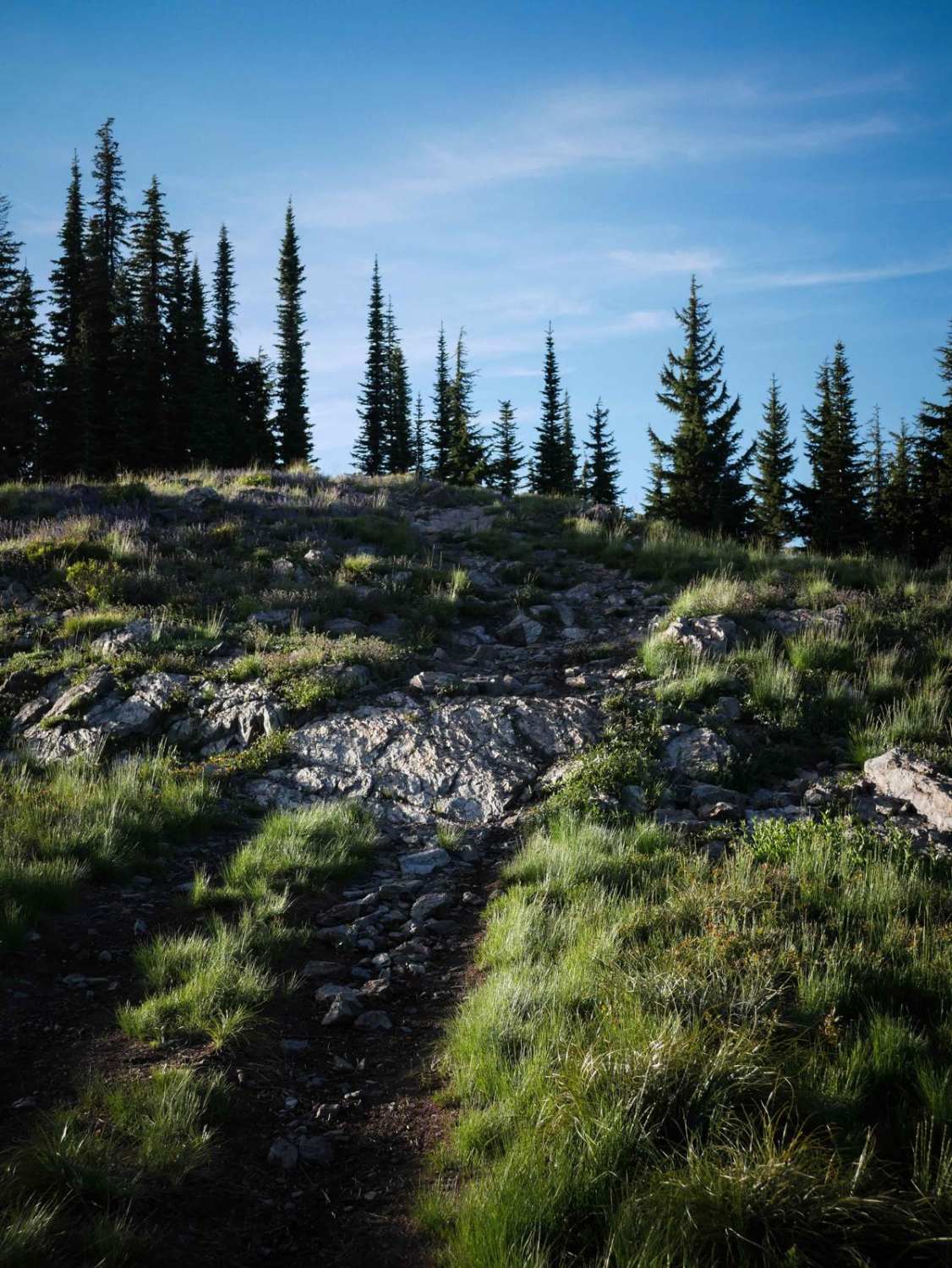 St Joe Divide NRT ATV (Slate Creek to Dam Creek)