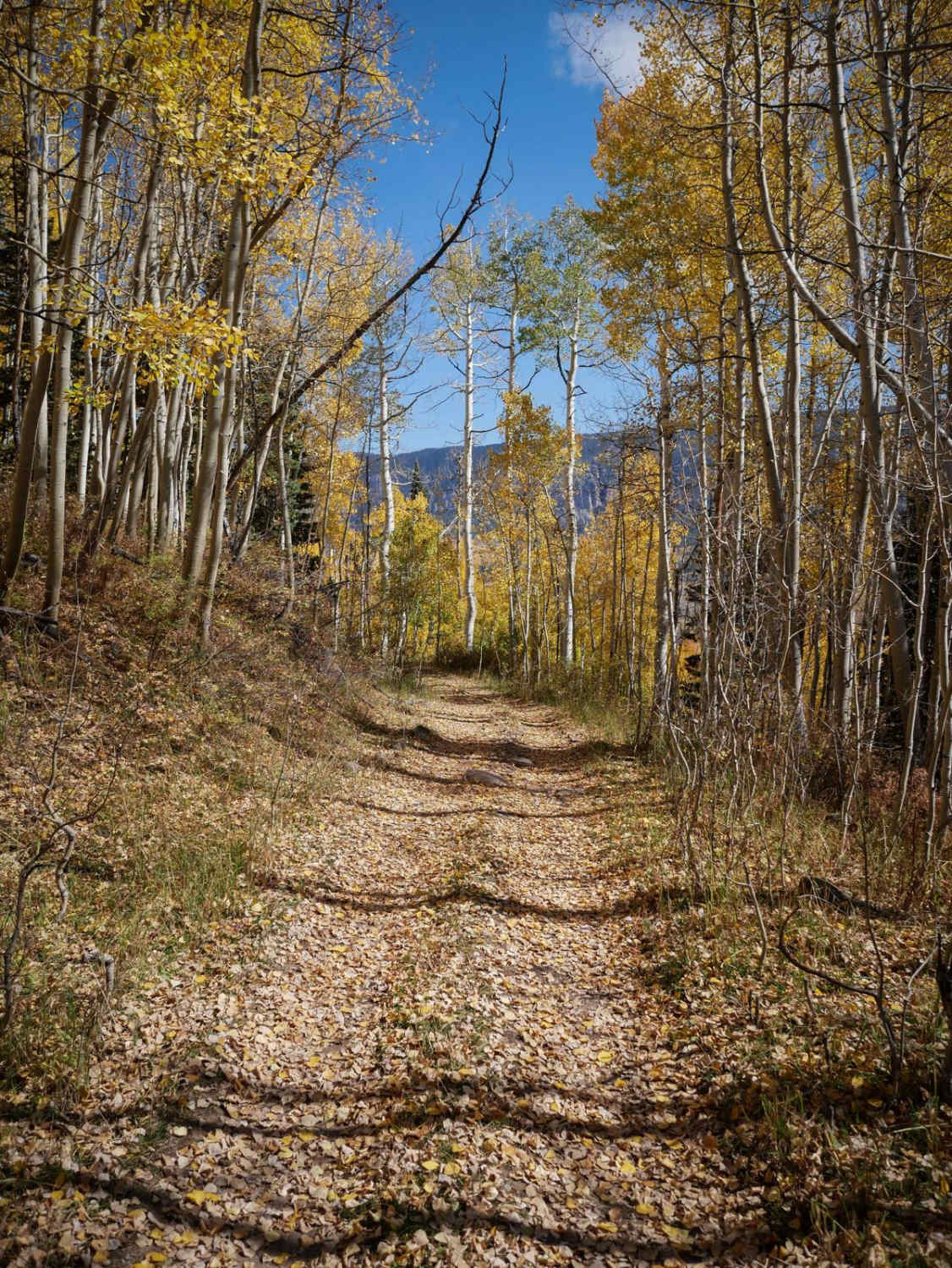 Fox Creek ATV 