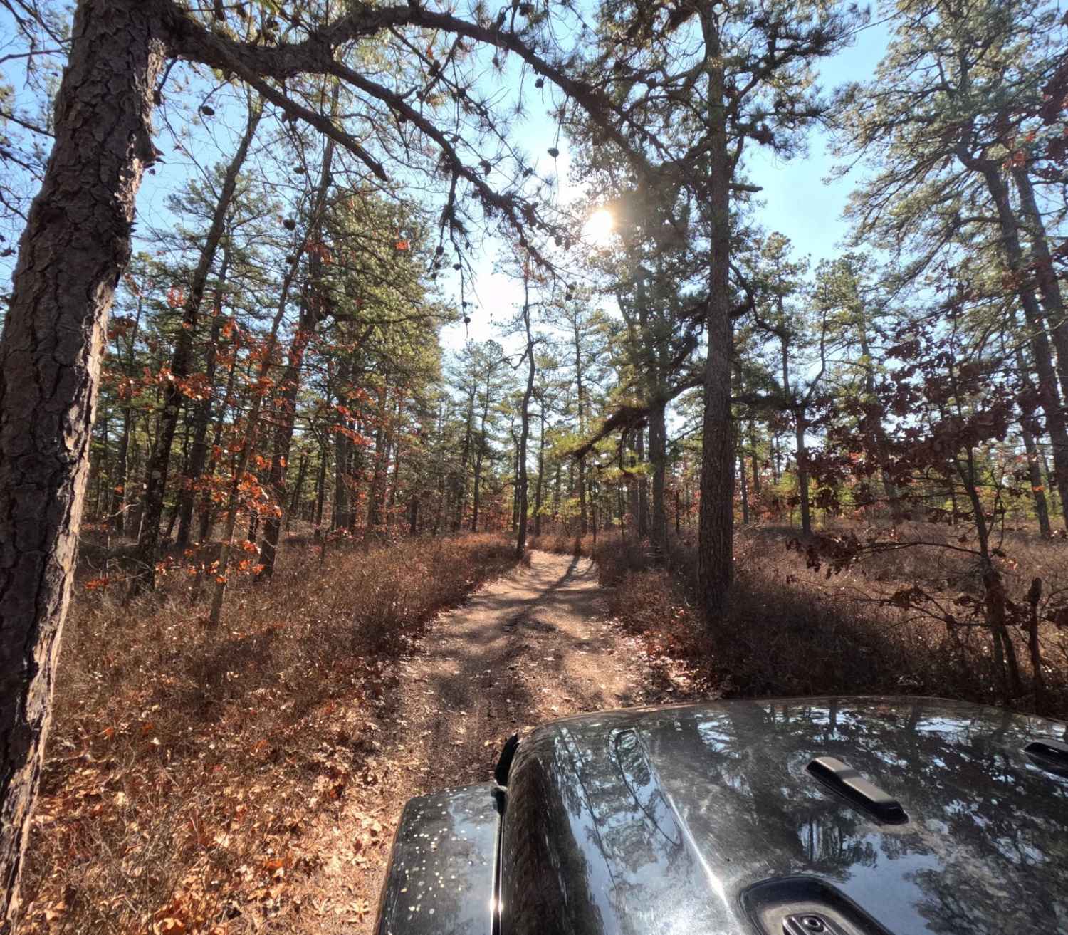 Hay Road