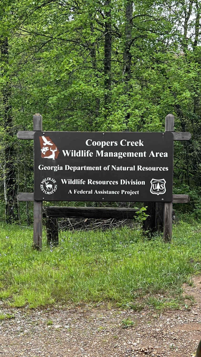 Cooper Creek FS Road 33