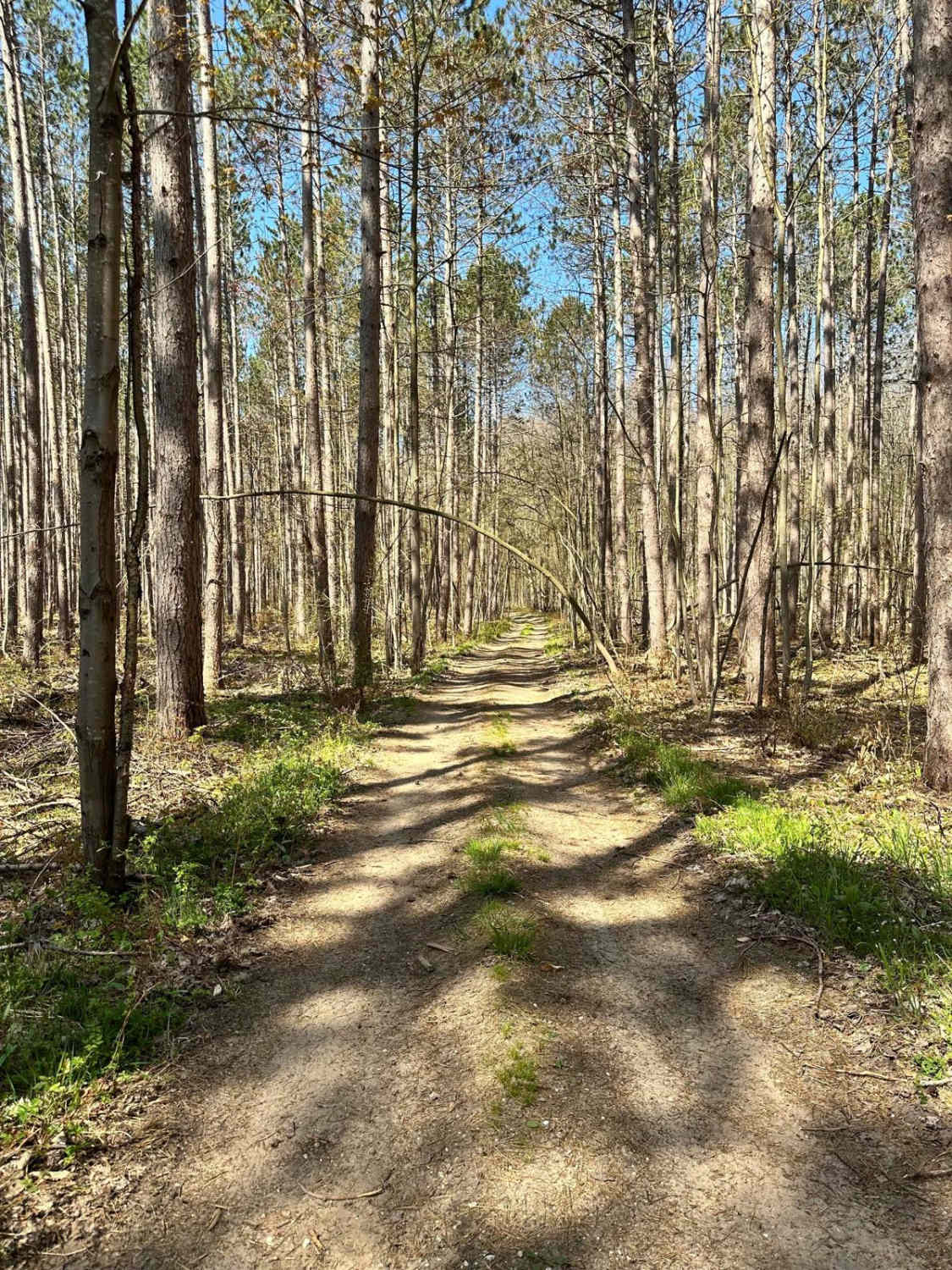 Cadillac Area ORV/OHV Scenic Ride - Part 13