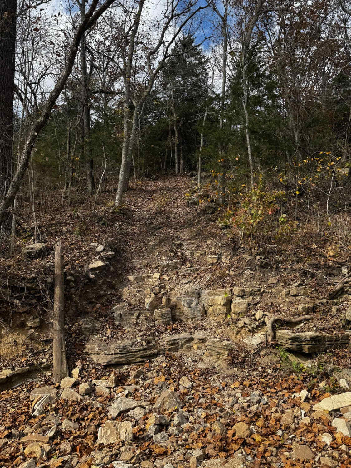 Tim's Hill