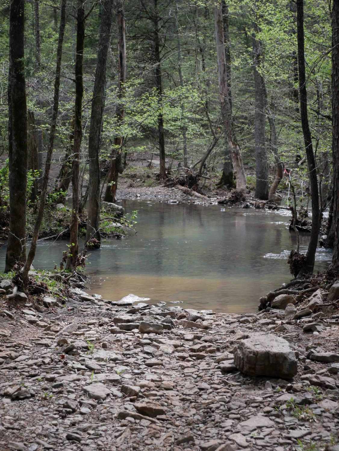 Gap Hollow Spur West