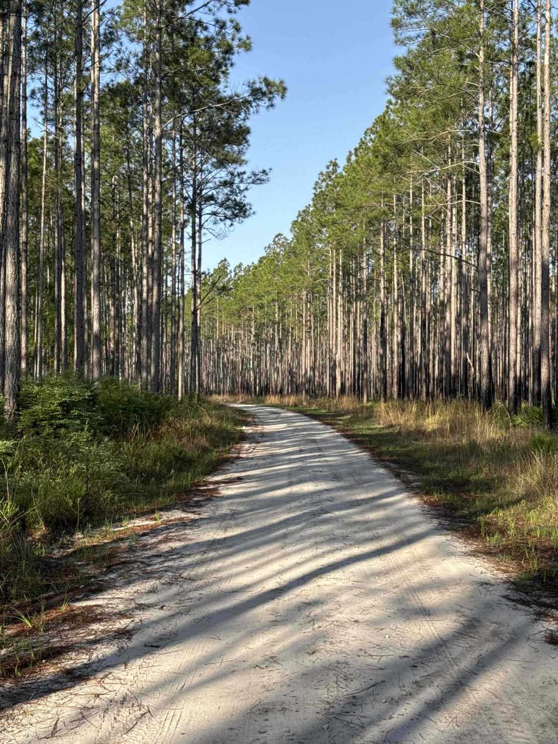 Ashmore - Apalachicola FR 321
