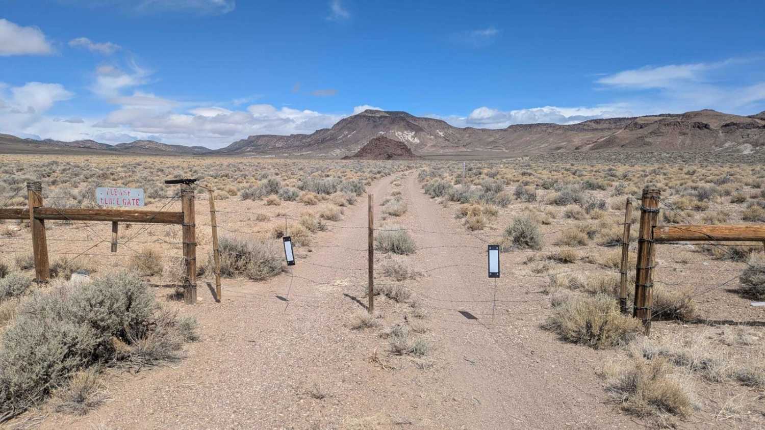 Douglas Spring - 44501