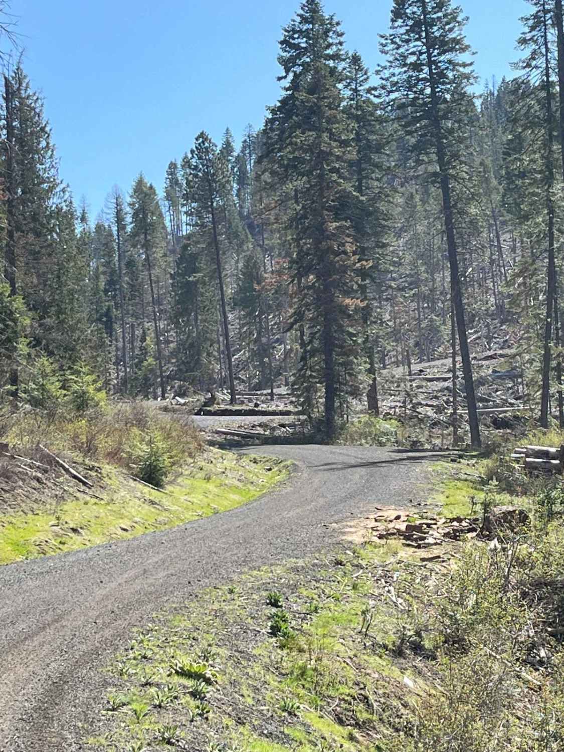 Cherry Butte Lower Road