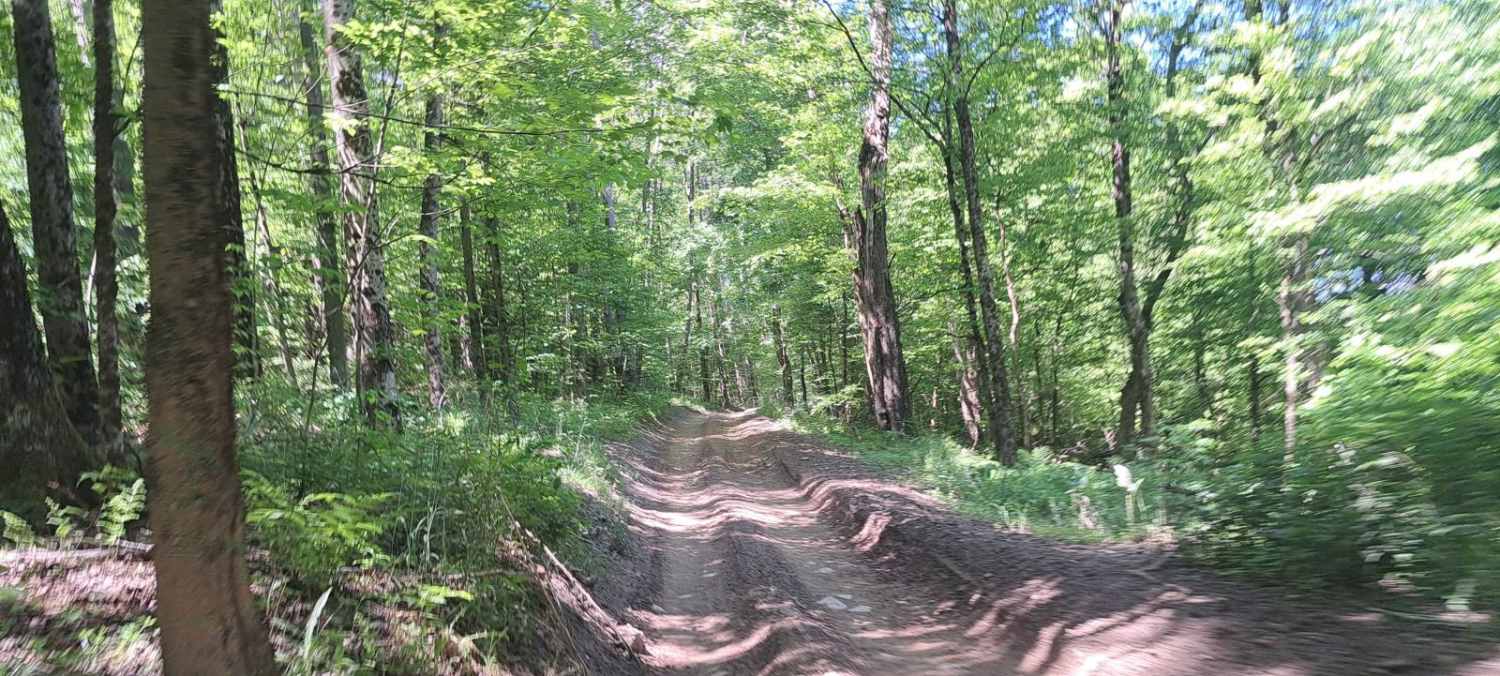 Underwear Hill