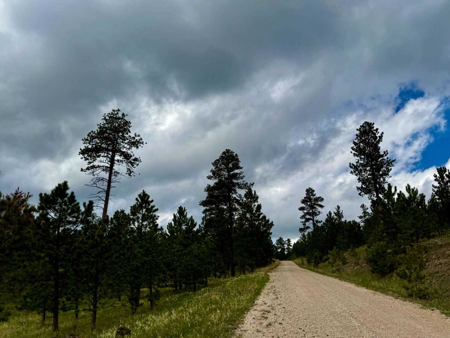 Newton Fork Road - FS 304