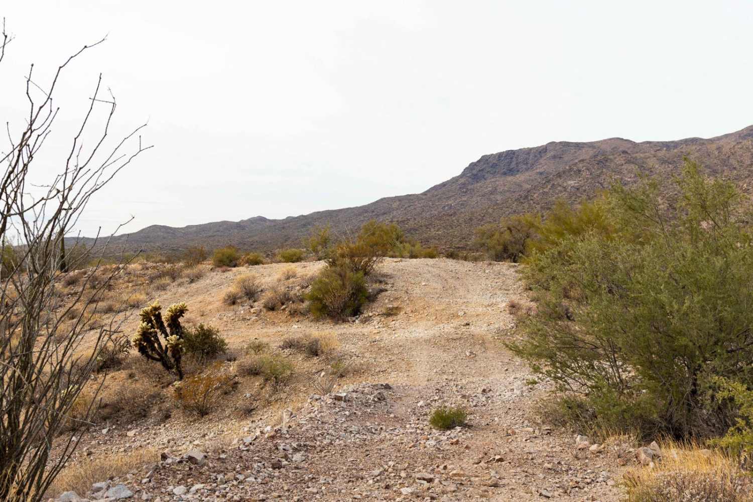 Browns Canyon and Mine Access
