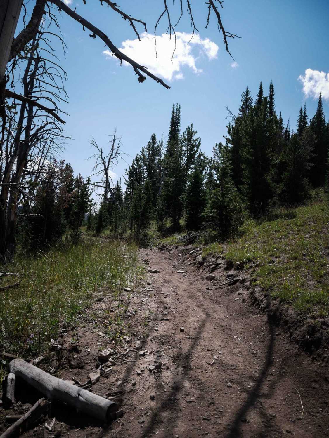 Cabin Creek 