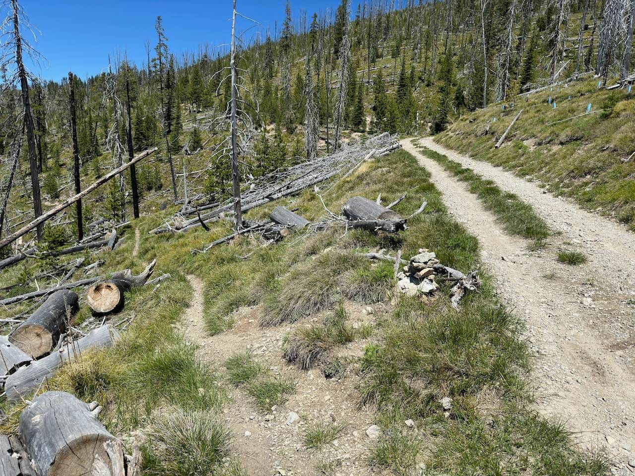 Warm Springs Ridge
