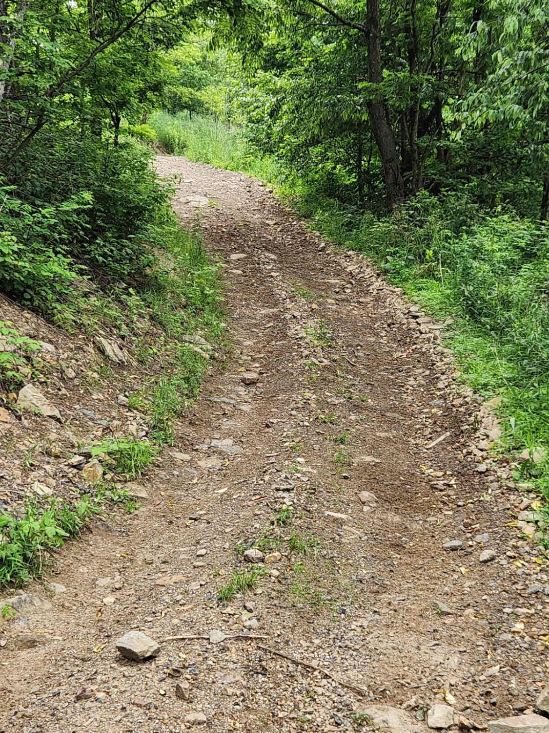 Trail 3G - Rock Run Recreation Area