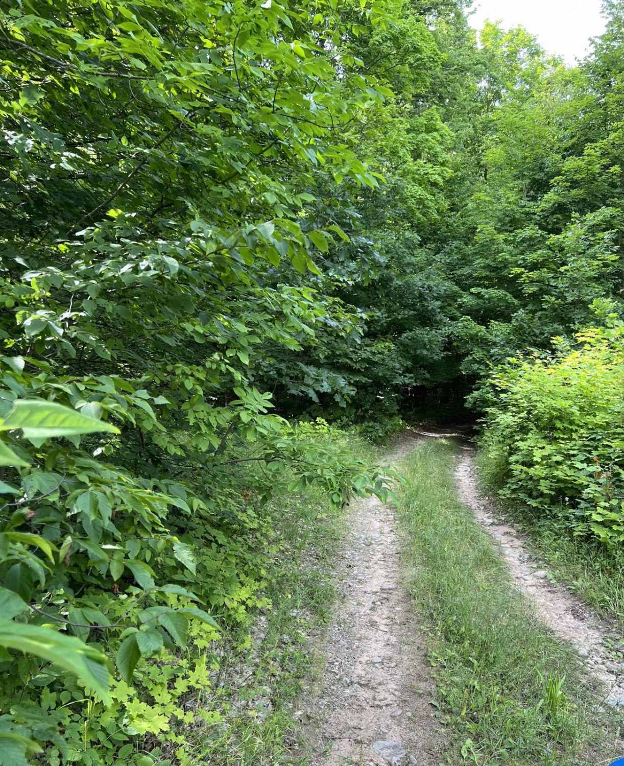 Boiling Springs Loop