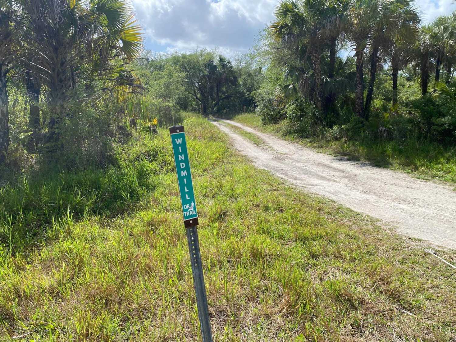 Windmill-Plains Trail